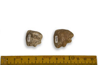 F 13069
<br/>
<br/>
<em></em>